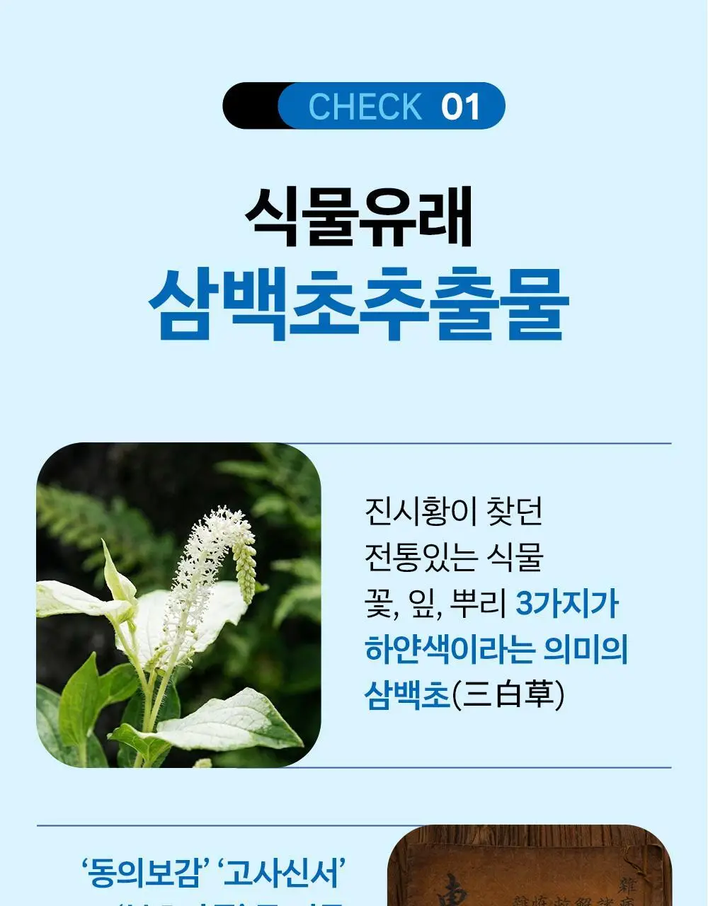 [올영단독/코상태개선] 대원제약 대원헬스 삼백초추출물 코편샷20g x 12포(12일분) 상세페이지 4